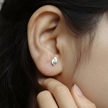 Lords jewels 925 Sterling Silver Earrings for Women